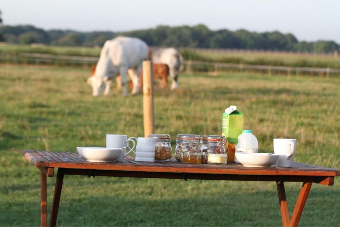 Shepherdshuts-Southeast Hotel แอชฟอร์ด ภายนอก รูปภาพ